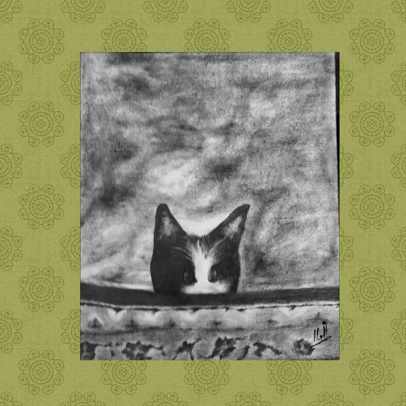 نقاشی سیاه قلم مدل بازیگوشی