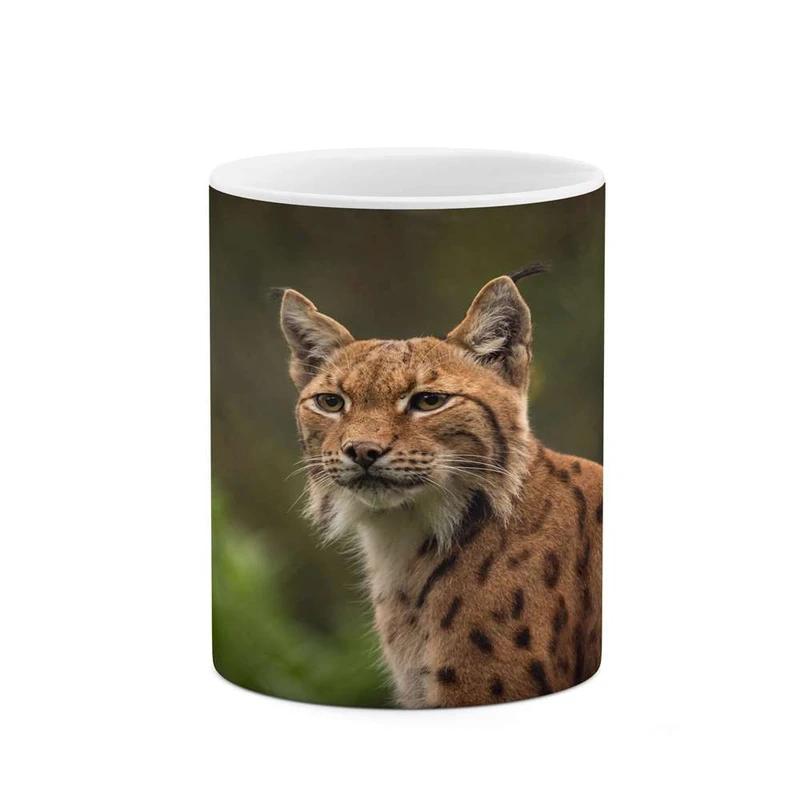 ماگ کاکتی مدل گربه سان کد mgh16184