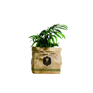 گیاه طبیعی شامادورا شرکت گلباران سبز گیلان مدل GN13-22K