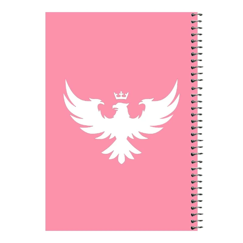 دفتر مشق 80 برگ اس جی مدل عقاب کد۱   