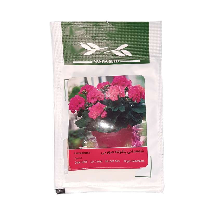 بذر گل شعمدانی پاکوتاه صورتی وانیا سید مدل 0270