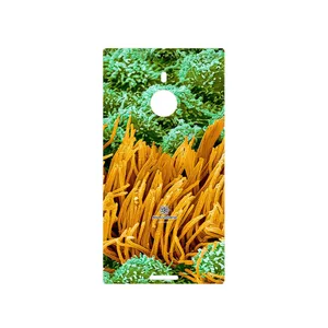 MAHOOT Atom Universe 6 Cover Sticker for Nokia Lumia 1520