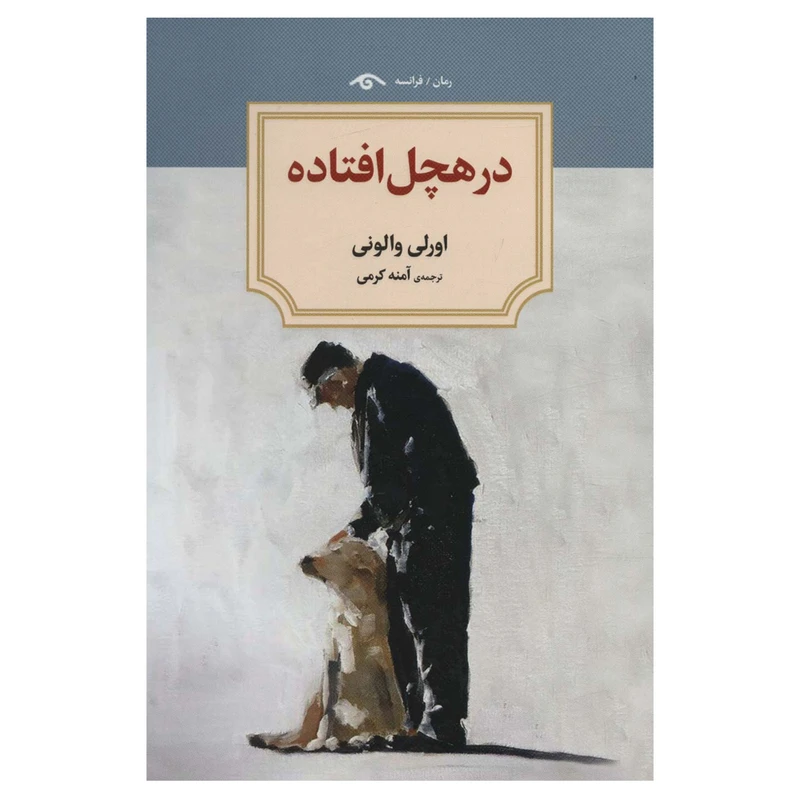 کتاب در هچل افتاده اثر اورلی والونی انتشارات دیدآور