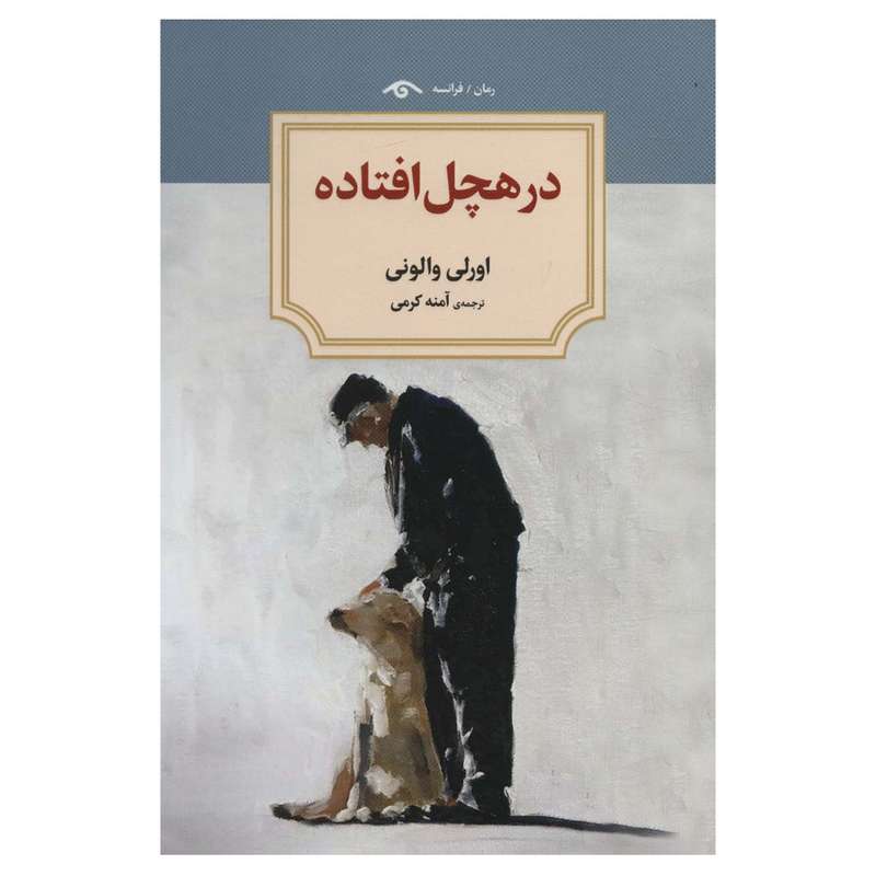 کتاب در هچل افتاده اثر اورلی والونی انتشارات دیدآور