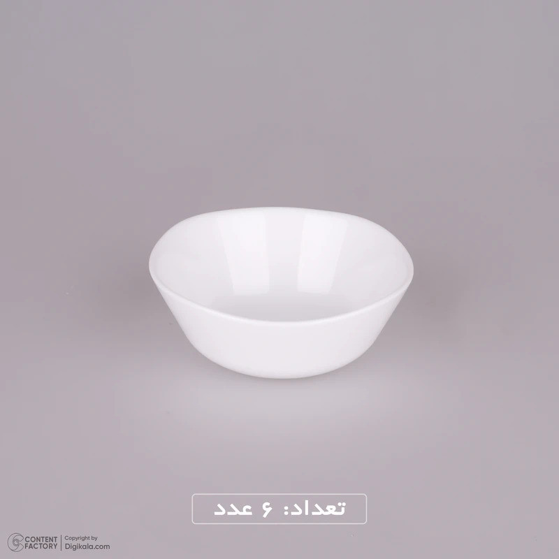 سرویس غذاخوری 26 پارچه گلدن اوپال مدل Corel ورژن دو