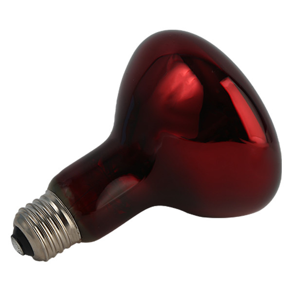 لامپ مادون قرمز 250 وات مصباح مدل R125-IR-250W-E27-RED پایه E27 لامپ مادون قرمز 250 وات مصباح مدل R125-IR-250W-E27-RED پایه E27