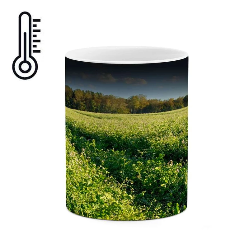 ماگ حرارتی کاکتی مدل منظره کد mgh10743