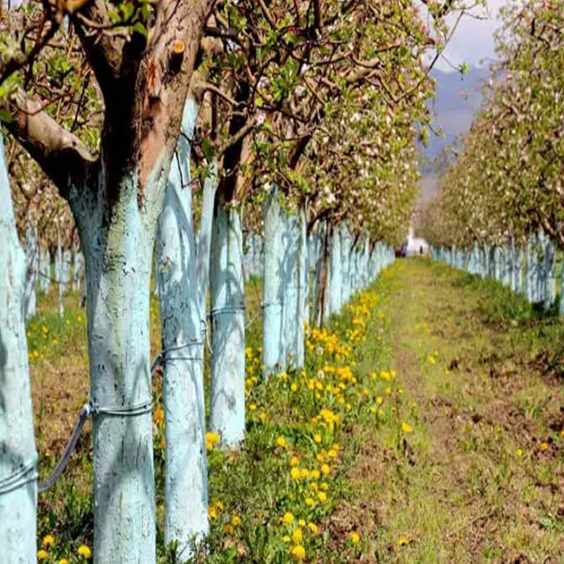 کود ترکیبی بردو دوقلو مدل پودری وزن 4 کیلوگرم