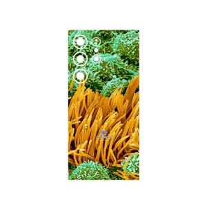 MAHOOT Atom Universe 6 Cover Sticker for Samsung Galaxy S24 Ultra