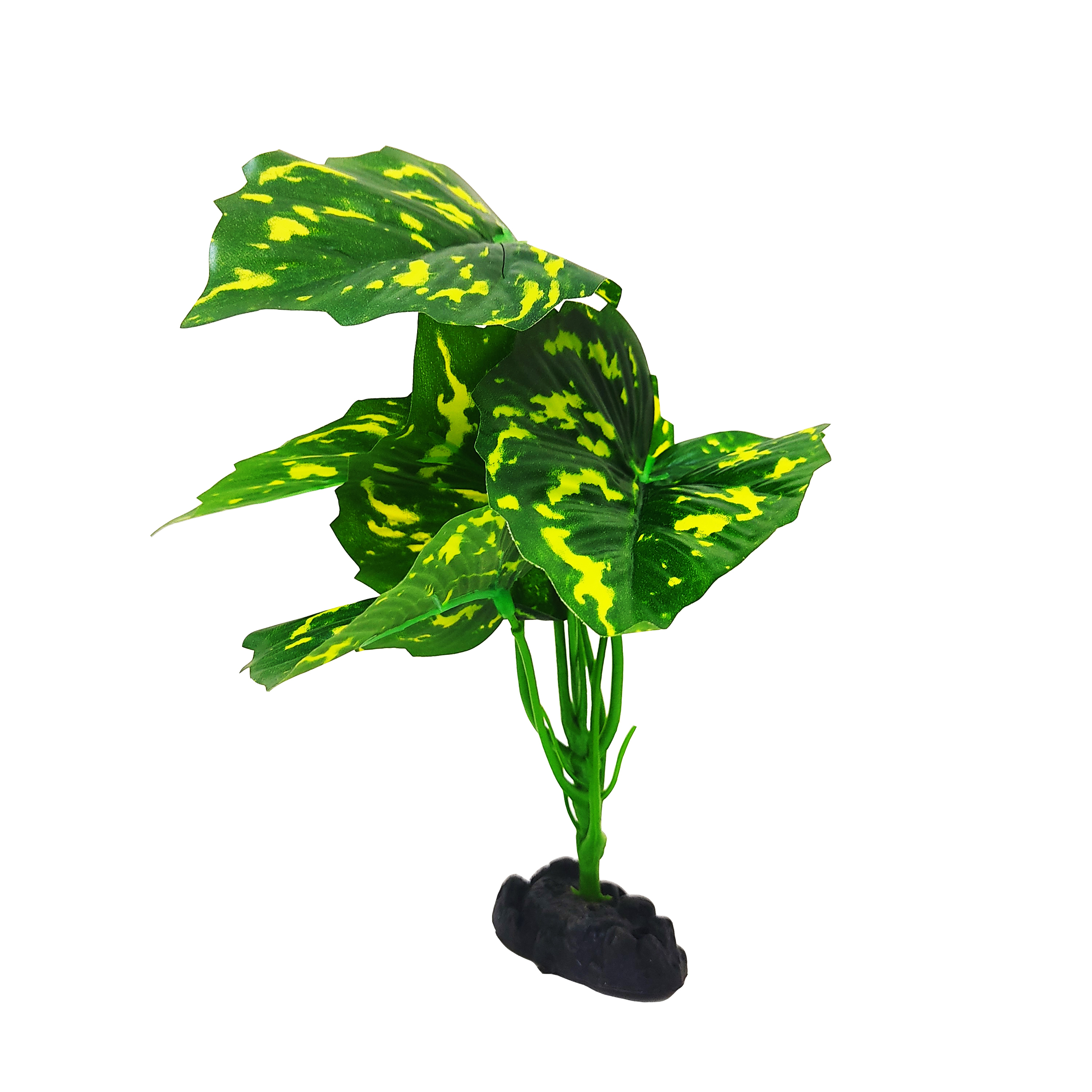 گیاه تزیینی آکواریوم کد H04