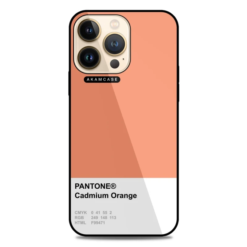 کاور آکام مدل AMC-WA13PRO-PANTONE-1 مناسب برای گوشی موبایل اپل iPhone 13 Pro