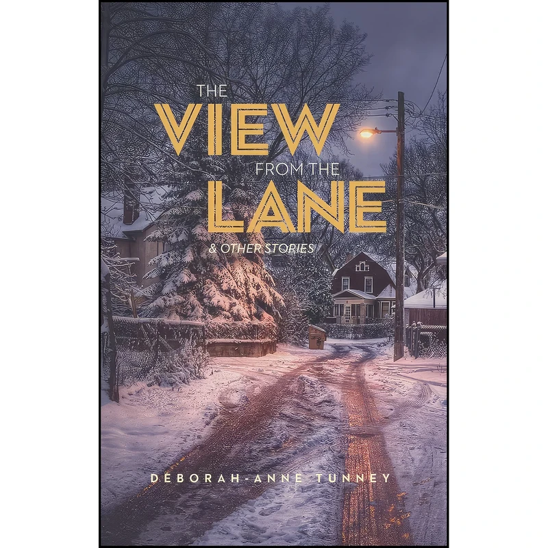 کتاب The View from the Lane اثر Deborah-Anne Tunney انتشارات Enfield & Wizenty