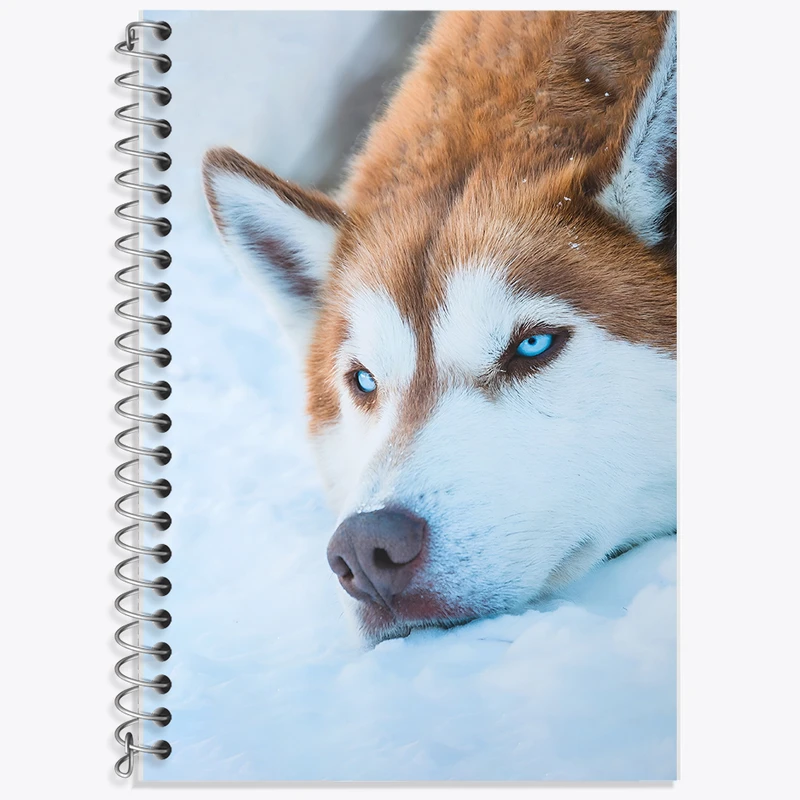 دفتر زبان 50 برگ خندالو مدل دو خط طرح سگ هاسکی کد F5326