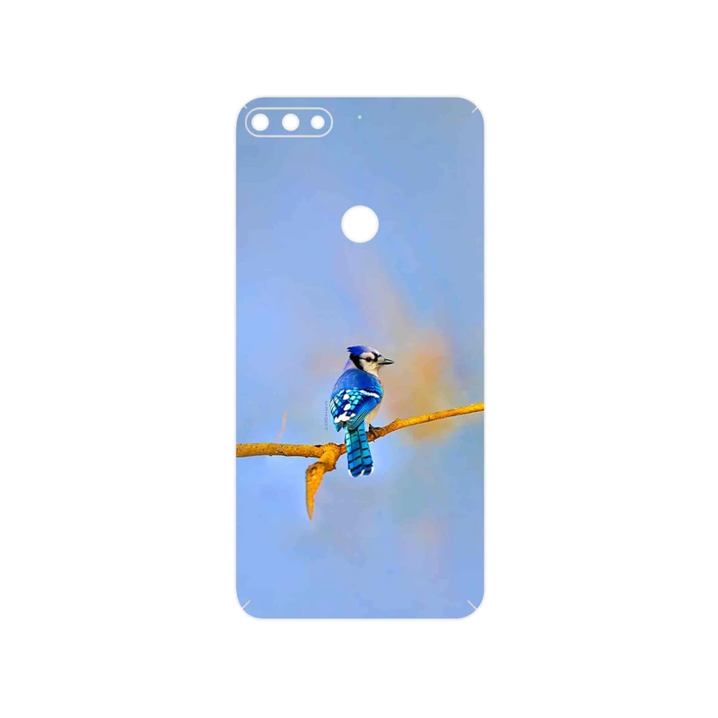برچسب پوششی ماهوت مدل Cyanocitta cristata مناسب برای گوشی موبایل آنر 7C