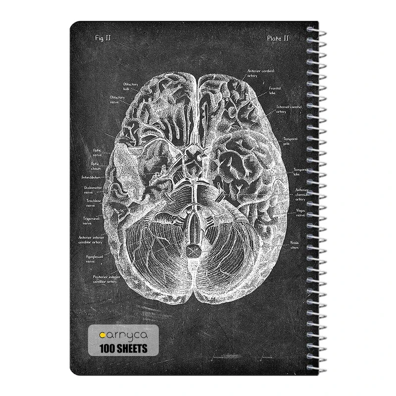 دفتر مشق 100 برگ سیمی کارنیکا طرح روزنامه وینتج آناتومی بدن Vintage Newspaper Anatomy کد 12484