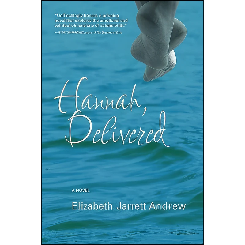 کتاب Hannah, Delivered اثر Elizabeth Jarrett Andrew انتشارات Koehler Books