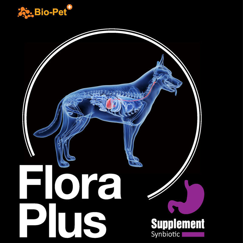 پودر مکمل سگ بایو پت مدل Flora Plus وزن 200 گرم