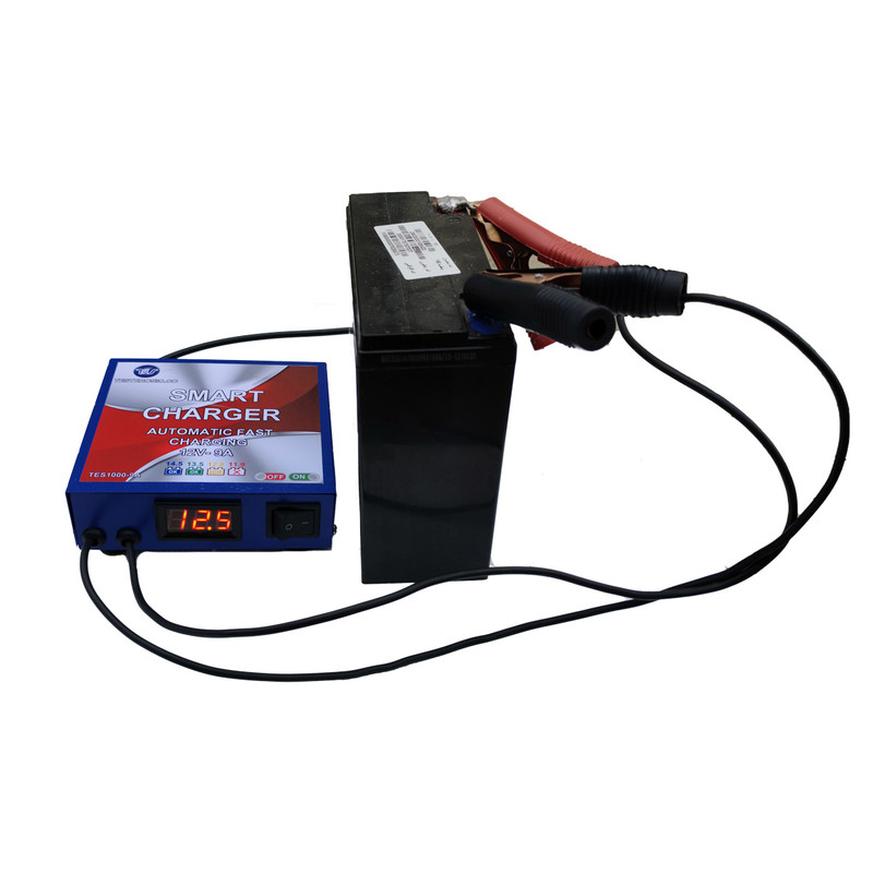 شارژر باتری خودرو مدل TES-1000-9A
