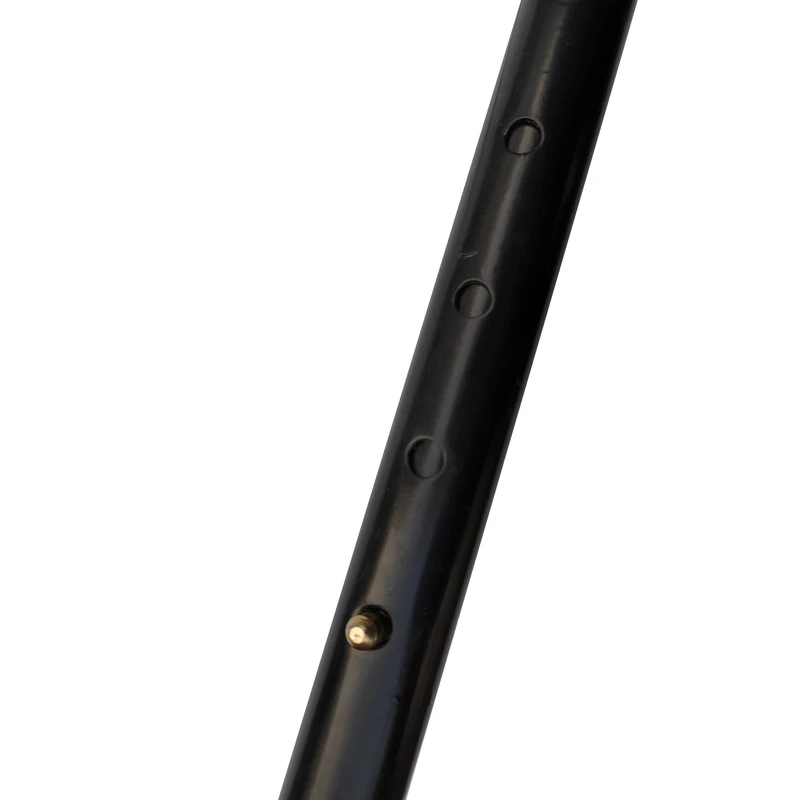 عکس شماره 6 : عصا مدل smart