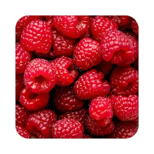 زیر لیوانی کاکتی طرح میوه مدل mp20865