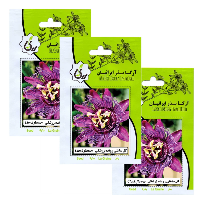 بذر گل ساعتی رونده زرشکی آرکا بذر ایرانیان کد 164-ARK مجموعه 3 عددی