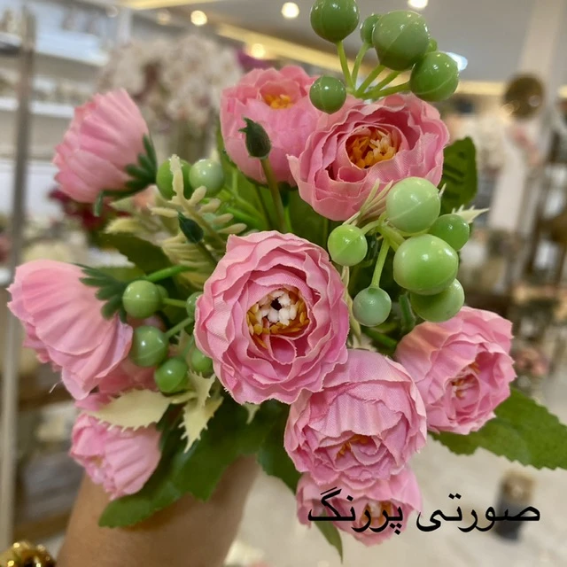 عکس شماره 3