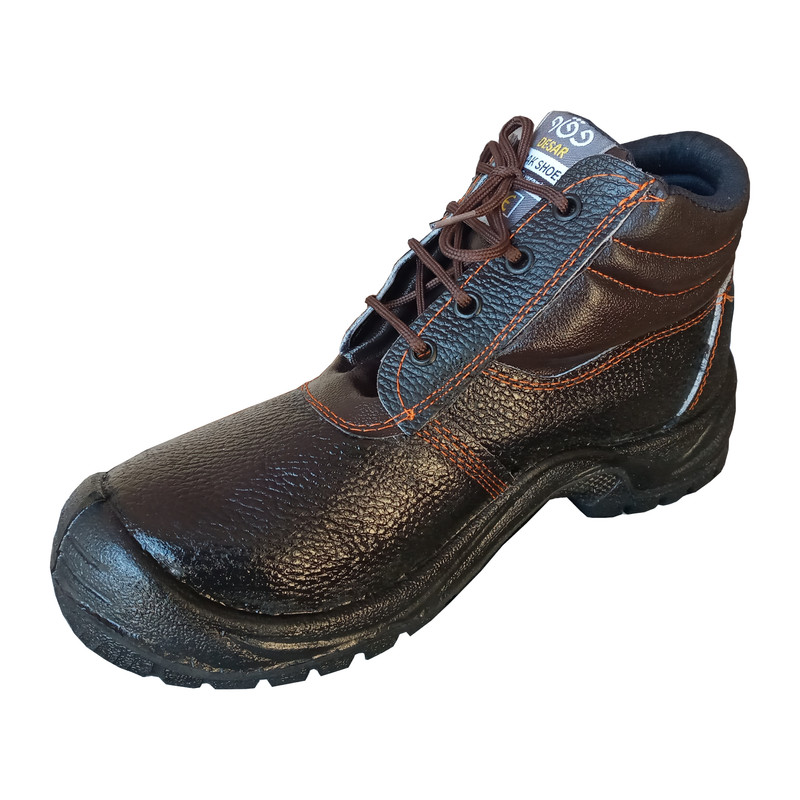 پوتین ایمنی مدل اکونومی پوتین ایمنی مدل اکونومی