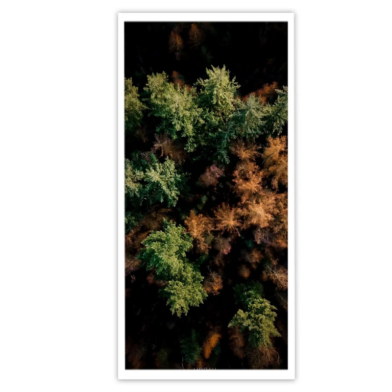 تابلو بکلیت طرح منظره جنگل سوزنی مدل W-S3420