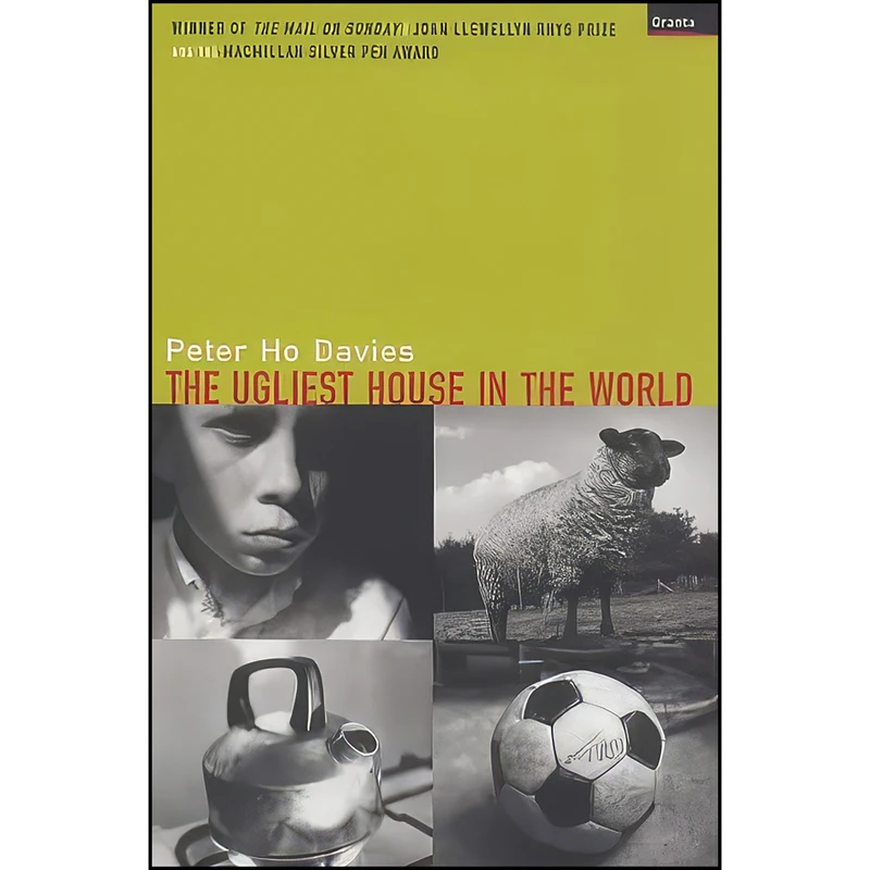 کتاب The Ugliest House in the World اثر Peter Ho Davies انتشارات Granta Books