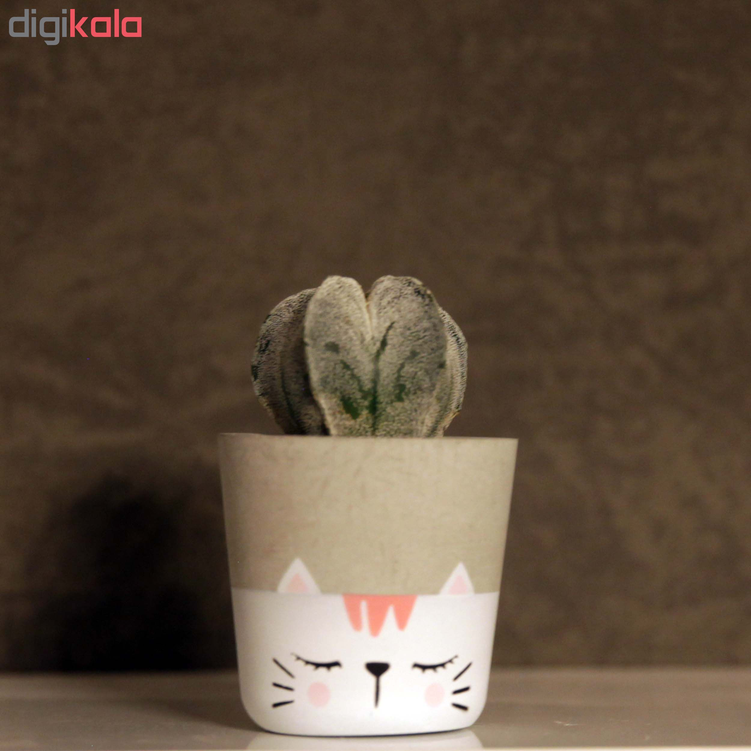 گلدان زیو استودیو مدل ALCA-1