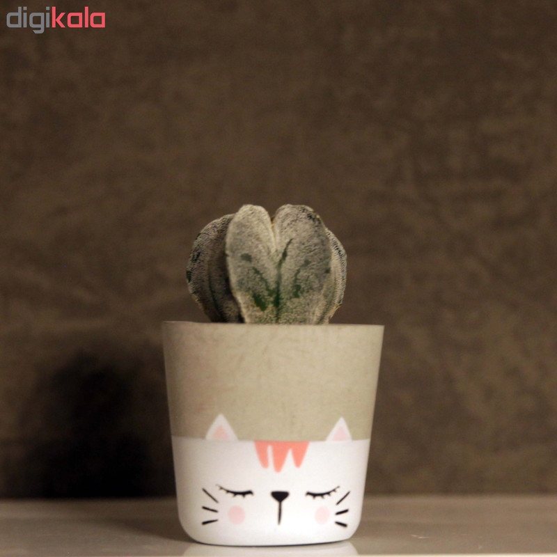 گلدان زیو استودیو مدل ALCA-1 گلدان زیو استودیو مدل ALCA-1