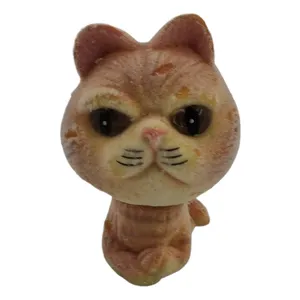 مجسمه مدل پیشولی