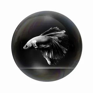 مگنت عرش طرح فانتزی ماهی کد Asm3993