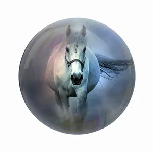 مگنت عرش طرح فانتزی اسب کد Asm3577