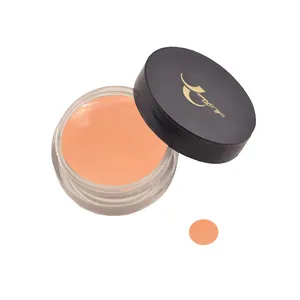 رژلب جامد مروان خیر مدل R91 شماره 91