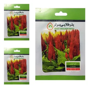 بذر گل تاج خروس بذر طلایی برتر کد BTB-10 مجموعه 3 عددی