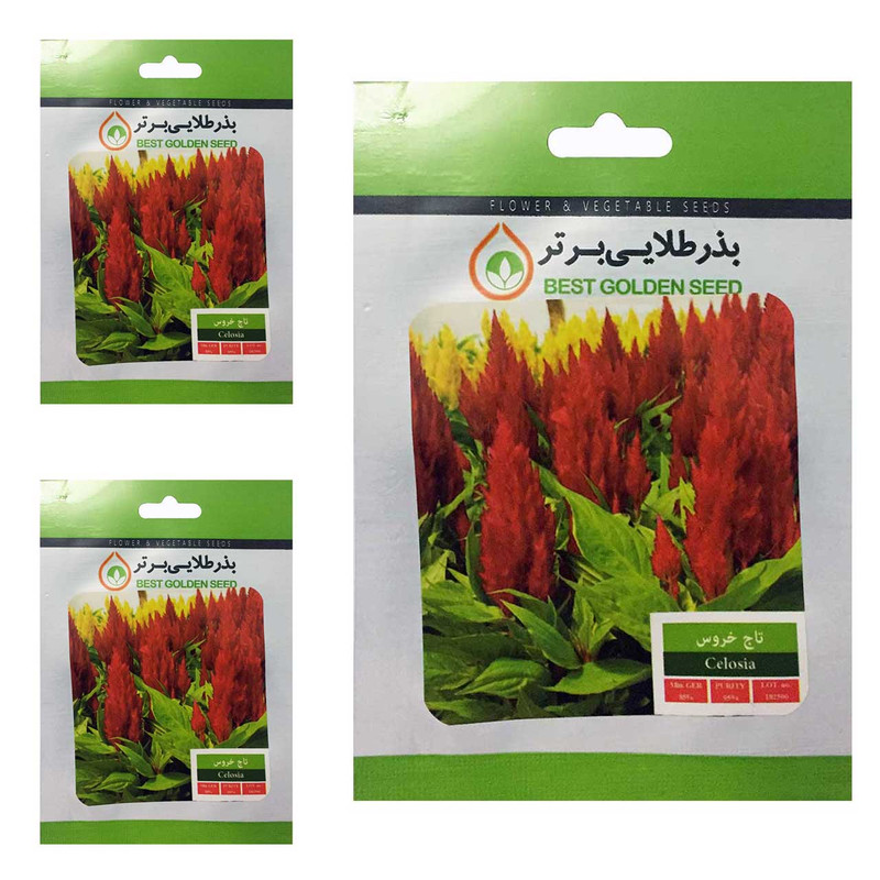 بذر گل تاج خروس بذر طلایی برتر کد BTB-10 مجموعه 3 عددی بذر گل تاج خروس بذر طلایی برتر کد BTB-10 مجموعه 3 عددی