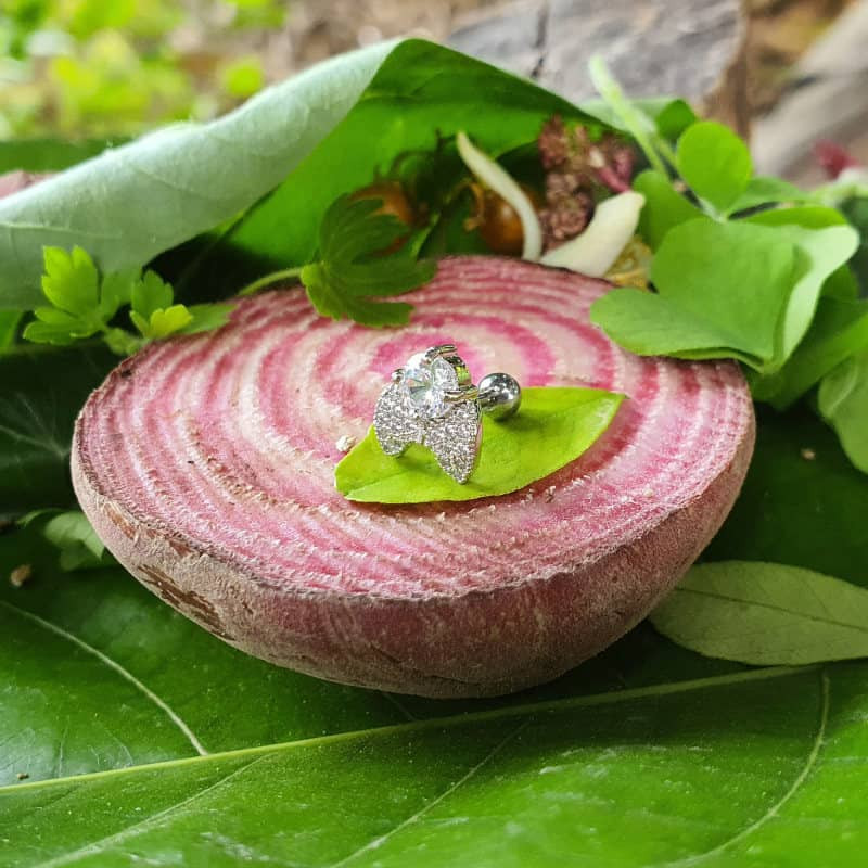 پیرسینگ گوش زنانه پایتخت مدل PS289 پیرسینگ گوش زنانه پایتخت مدل PS289