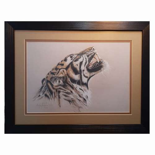 تابلو نقاشی مداد رنگی طرح ببر کد 6161