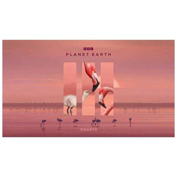 عکس شماره 4 : مستند سیاره زمین سه planet earth iii 2023 اثر دیوید اتنبرو نشر لیمو استور