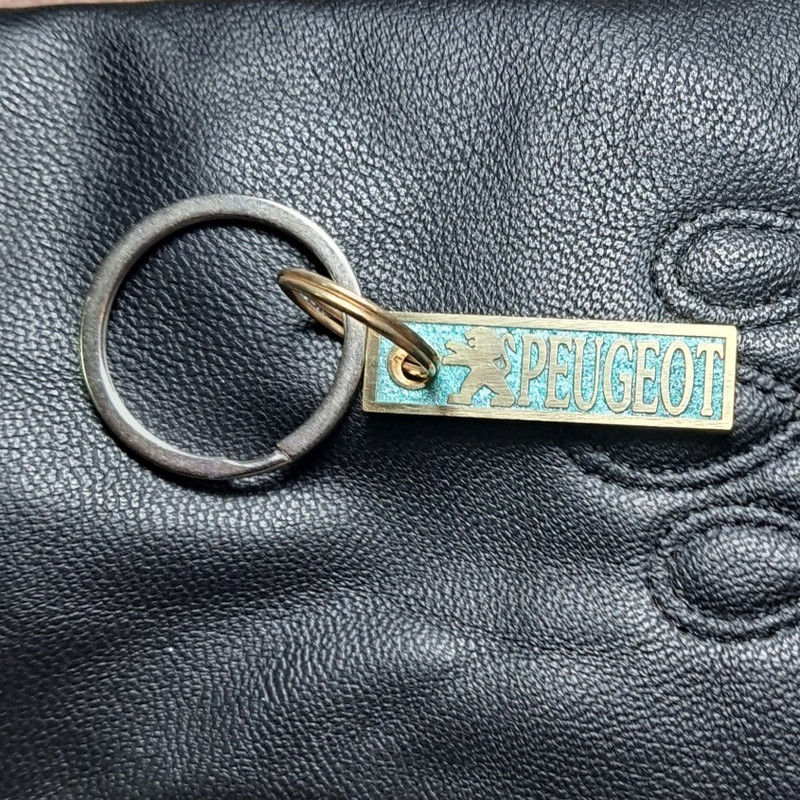 جاسوییچی ای اچ کی مدل برنجی