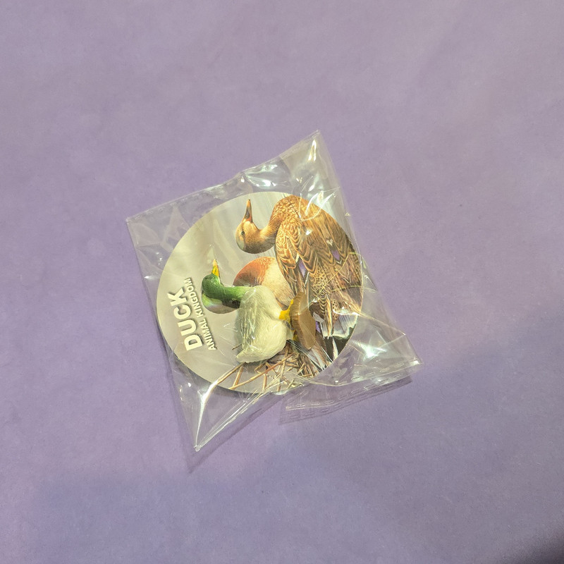 فیگور مدل پرندگان ارتفاع 5 سانتی متر مجموعه 4 عددی