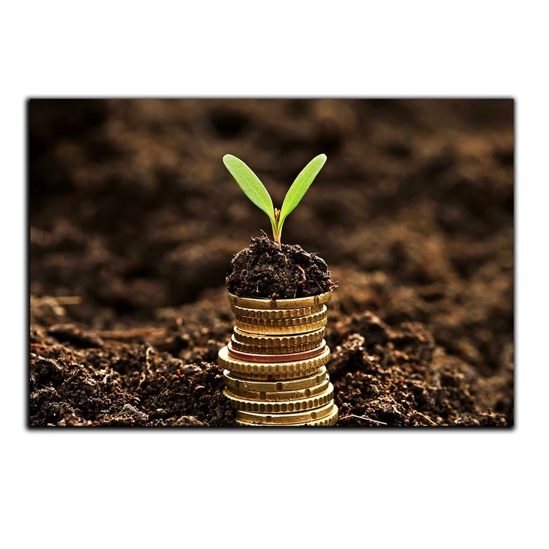 تابلو شاسی بکلیت طرح جوانه و امید مدل SH-s896