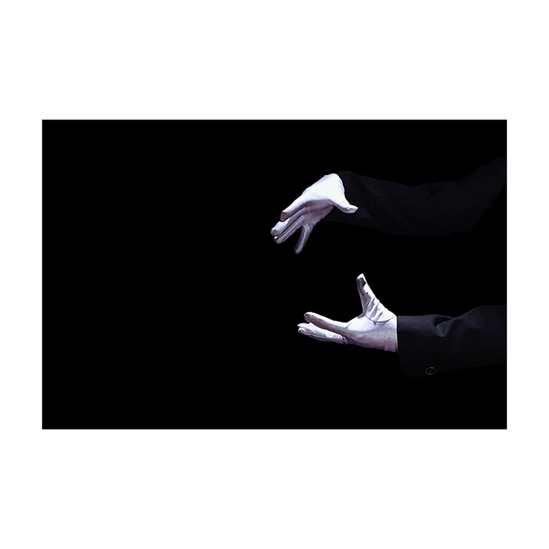 تابلو شاسی طرح شعبده باز کد 8837
