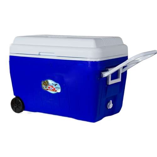 یخچال کمپینگ مدل 60 لیتری چرخ دار