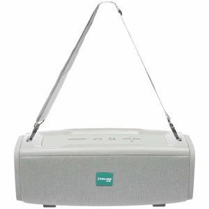 اسپیکر بلوتوثی قابل حمل دینلاین مدل DS-200