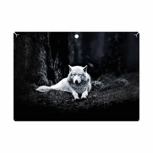 MAHOOT Dire Wolf Cover Sticker for Lenovo Miix 320 2017