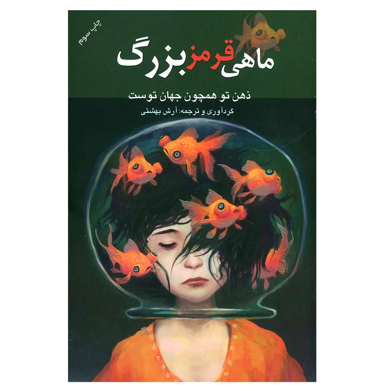 کتاب ماهی قرمز بزرگ اثر آرش بهشتی انتشارات درسا