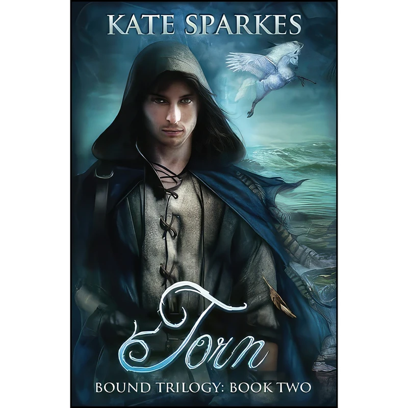 کتاب Torn  اثر Kate Sparkes انتشارات تازه ها