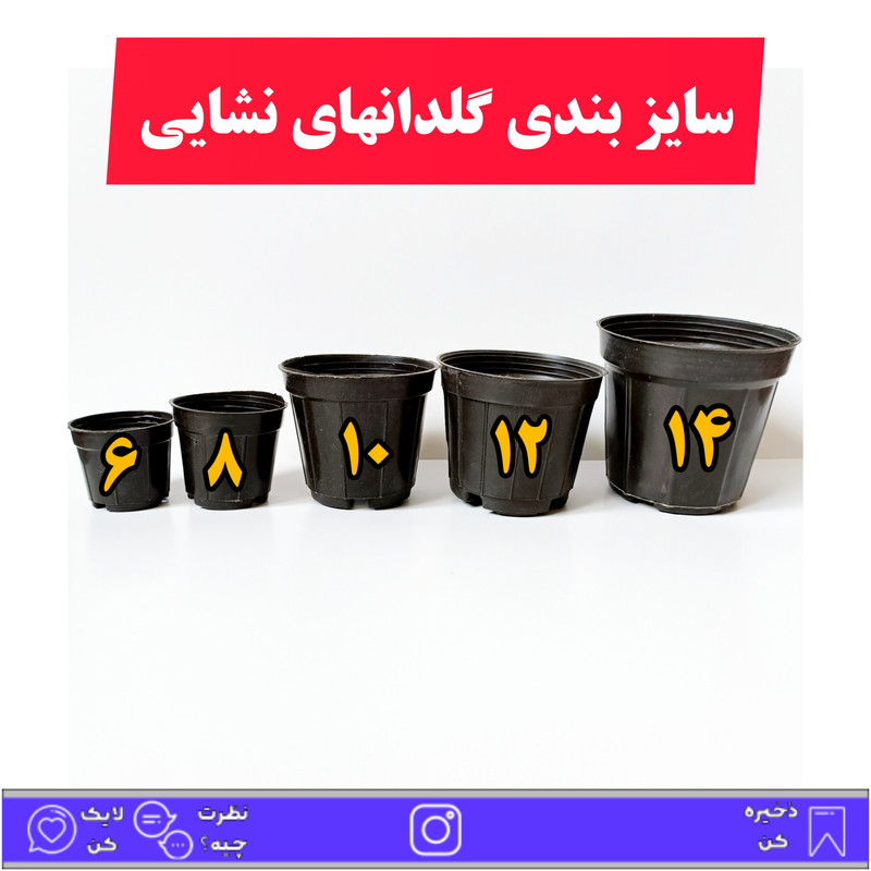 گلدان مدل پلاستیکی کد A_8 بسته 50 عددی